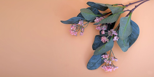 Similar image 22254743