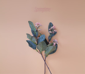 Similar image 22254744