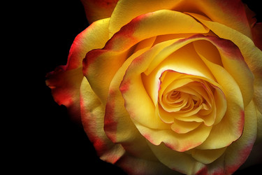 Similar image 22254880