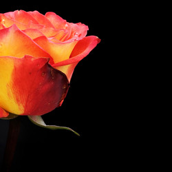 Similar image 22254885