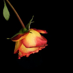 Similar image 22254886