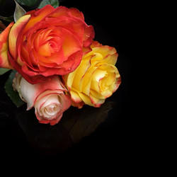 Similar image 22254888