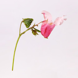 Similar image 22254890