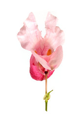 Similar image 22254891