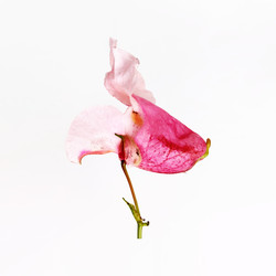 Similar image 22254892