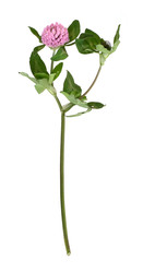 Similar image 22254893