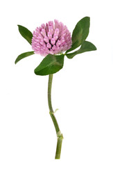 Similar image 22254894