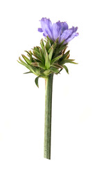 Similar image 22254511