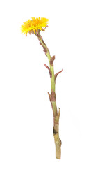 Similar image 22254513