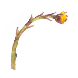 Similar image 22254680