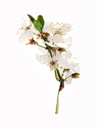 Similar image 22254746