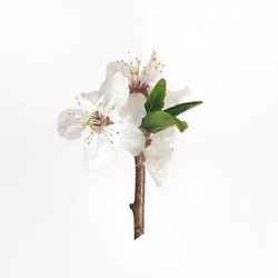 Similar image 22254748