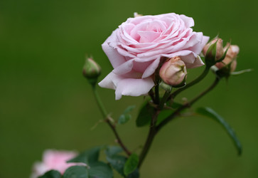 Similar image 22254749