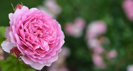 Similar image 22254750