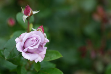 Similar image 22254751