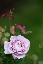 Similar image 22254752