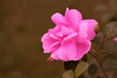 Similar image 22254754