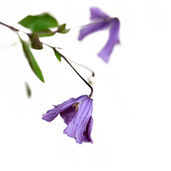 Similar image 22254756