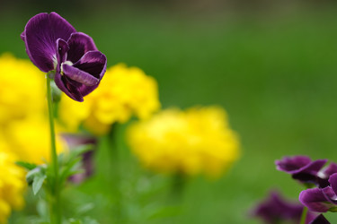 Similar image 22254757