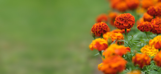 Similar image 22254759