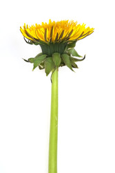 Similar image 22254762