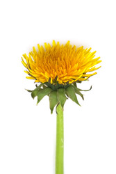 Similar image 22254763