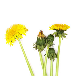 Similar image 22254765