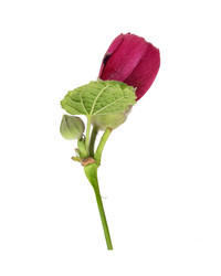 Similar image 22254770