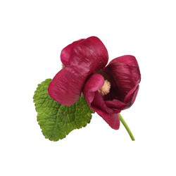 Similar image 22254771