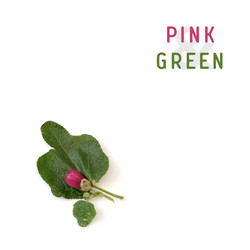 Similar image 22254772