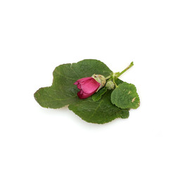 Similar image 22254896