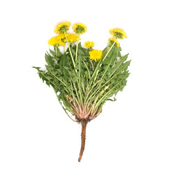 Similar image 22254900