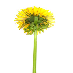 Similar image 22254901