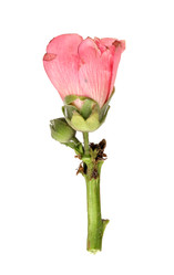 Similar image 22254905