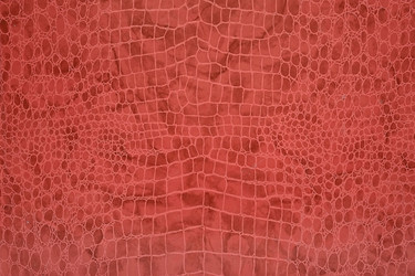 Similar image 22254517