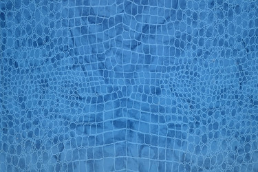 Similar image 22254519