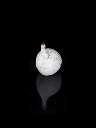 Similar image 22254548