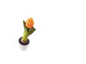 Similar image 22254913