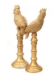 Similar image 22271534