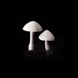 Similar image 22271669