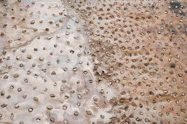 Similar image 22271713