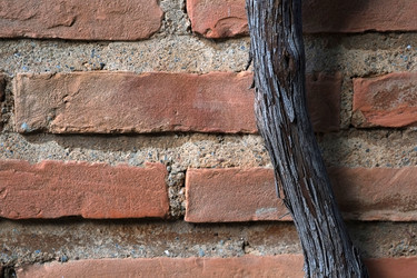 Similar image 22254550