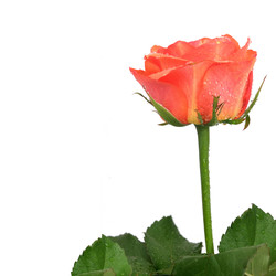 Similar image 22254557