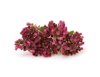 Similar image 22254560