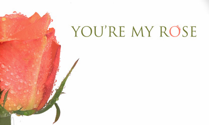 Similar image 22254561