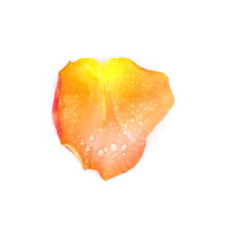 Similar image 22254563