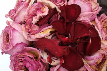 Similar image 22254565