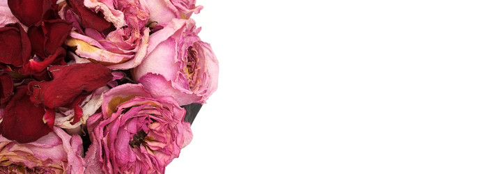 Similar image 22254566