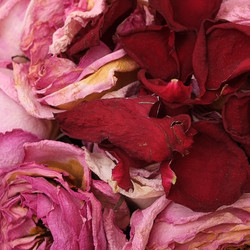 Similar image 22254567