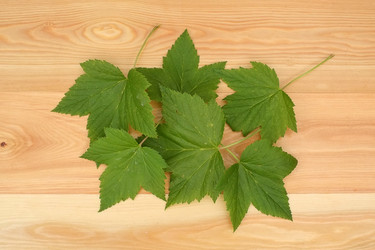 Similar image 22254568